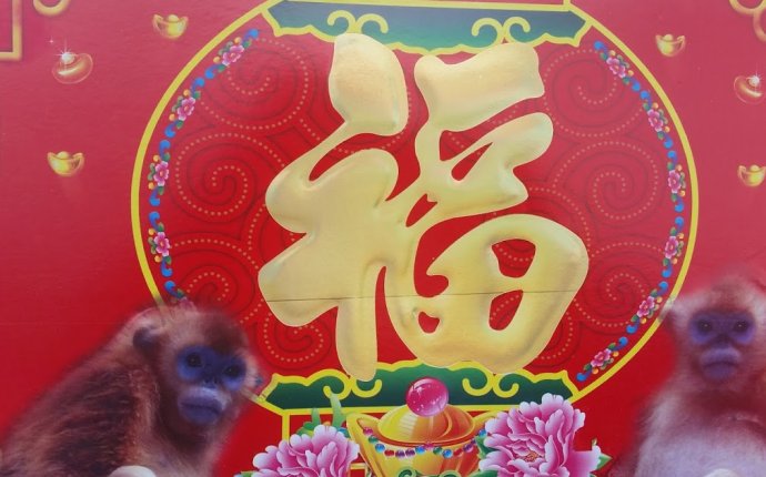 10 best Feng Shui tips for 2016 Year of the Monkey | The Trending