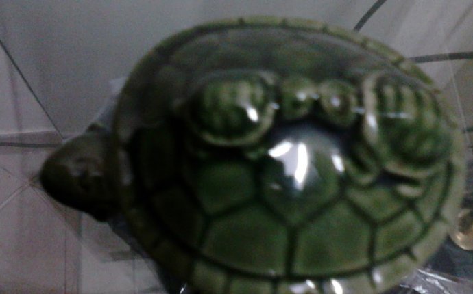 Feng Shui - Simple Cures: Feng Shui Turtle How to select Turtle