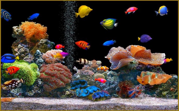 Hausdesign: Visit Maison Aquarium Jaligny Sur Besbre July Aquarium