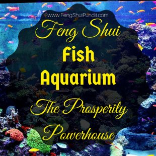 Fish Aquarium Feng Shui