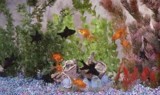 Fish-tank-feng-shui