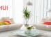 Feng Shui TIPS for the Home